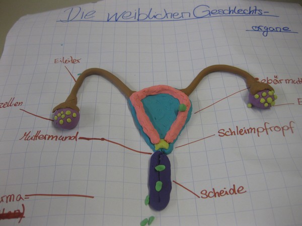 Sexualpädagogische Veranstaltungen